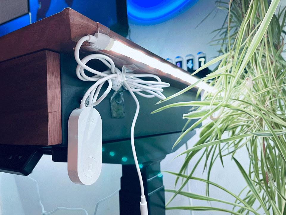 客厅餐厅墙上好物推荐,客厅好物推荐生活用品100件