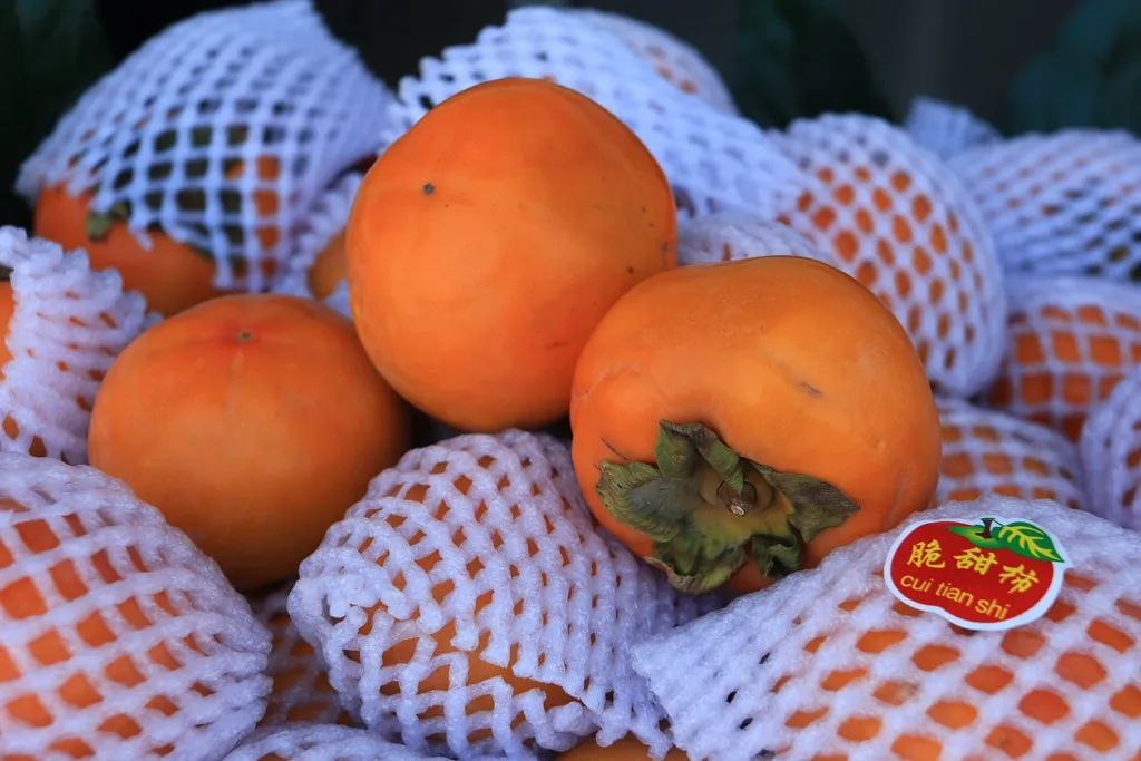 最近的泰兴,泰兴现在的样子