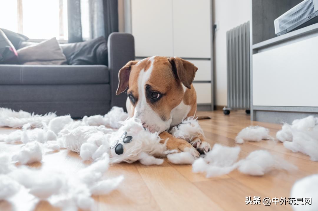 在美国卖玩具的利润,小伙卖儿童玩具投资1000赚5000