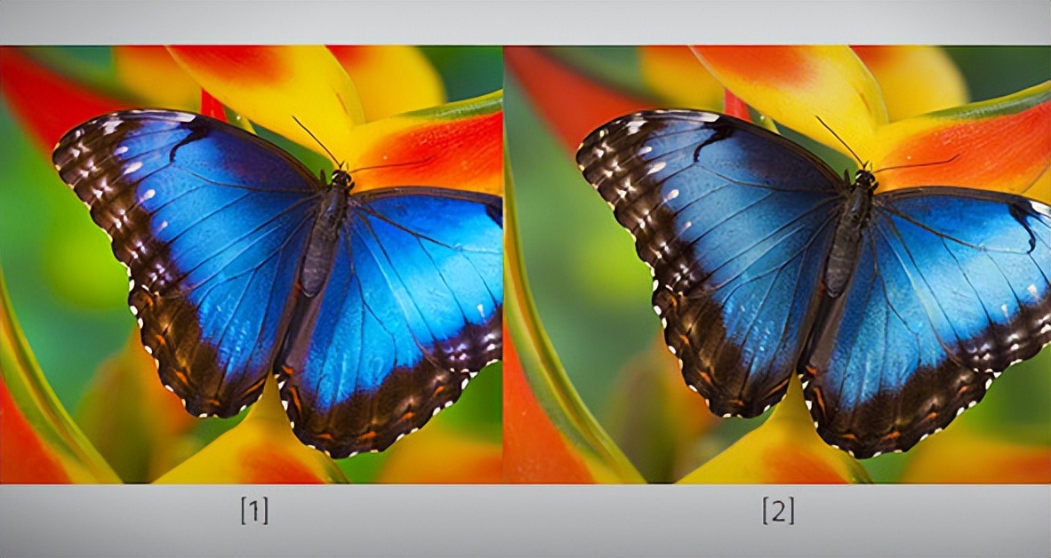 索尼“心比天高”，12GB+512GB保持在8999价位，买得起的人很少