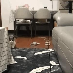 电脑cpu温度高的图片,电脑cpu温度对照表