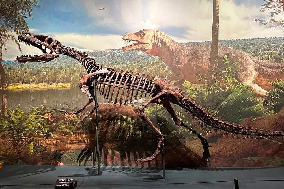 重庆自然资源科普馆要门票不,重庆自然资源科普馆一共几个馆