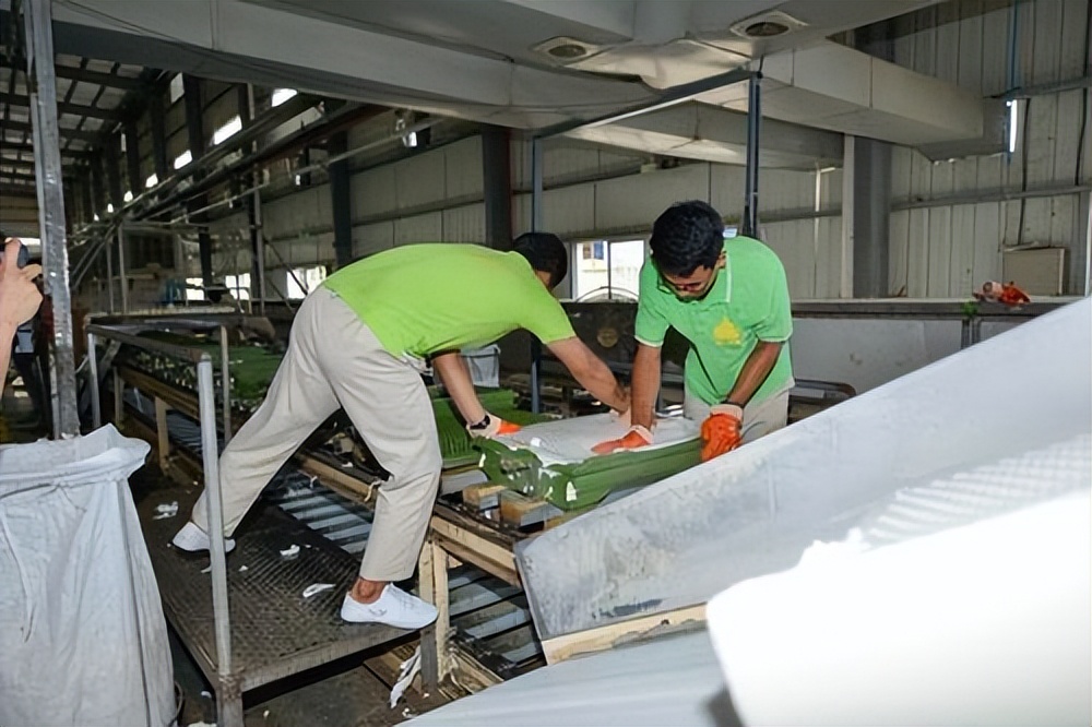 负离子乳胶枕是忽悠吗,冷知识乳胶枕到底是不是智商税