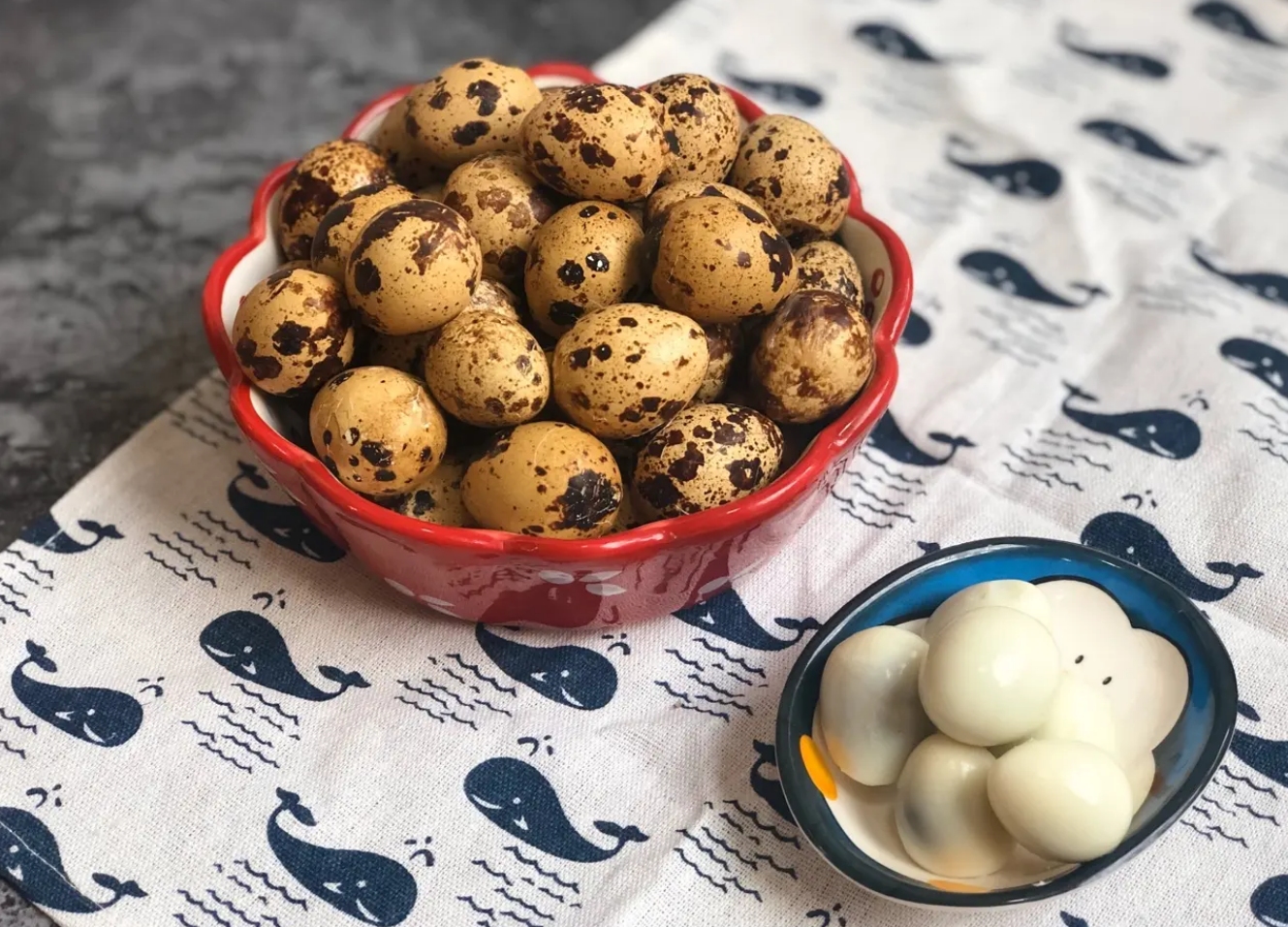 鹌鹑悲惨一生,鹌鹑的悲惨人生