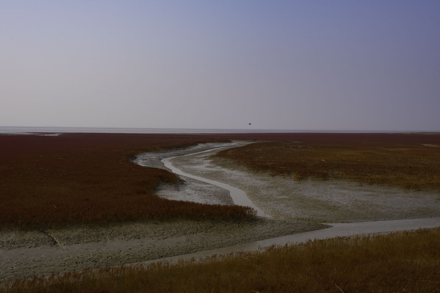 盘锦红海滩三角洲入口,沈阳自驾盘锦红海滩