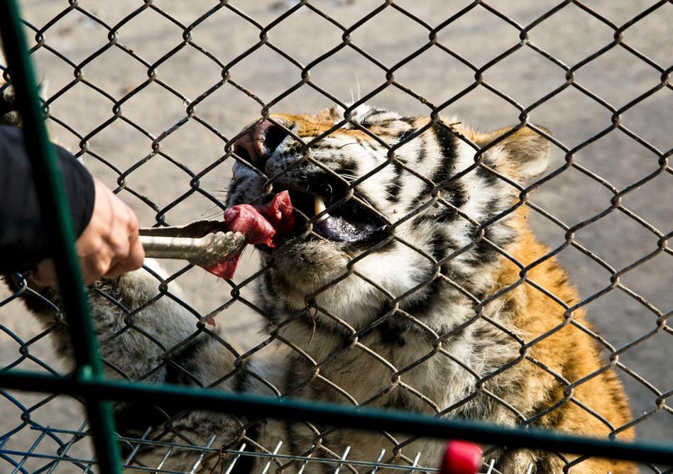 涓婃捣鏈夊彲浠ュ畨涔愭鐨勫尰闄㈠悧,娌讳笉濂界殑缁濈棁鍖婚櫌鍙互瀹変箰姝诲悧