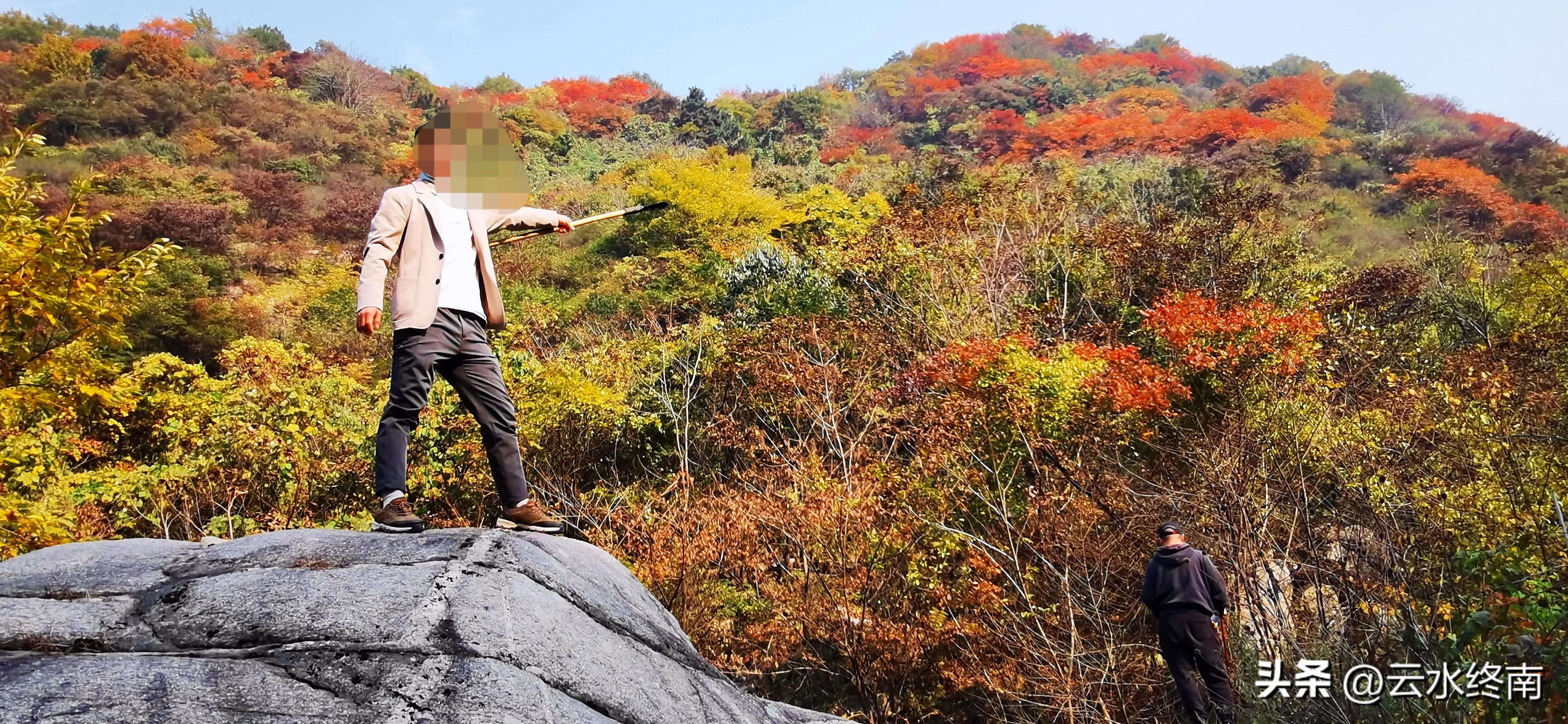 享个清福！到少有人知的峙峪看看漫山红叶，喝喝住山人清茶