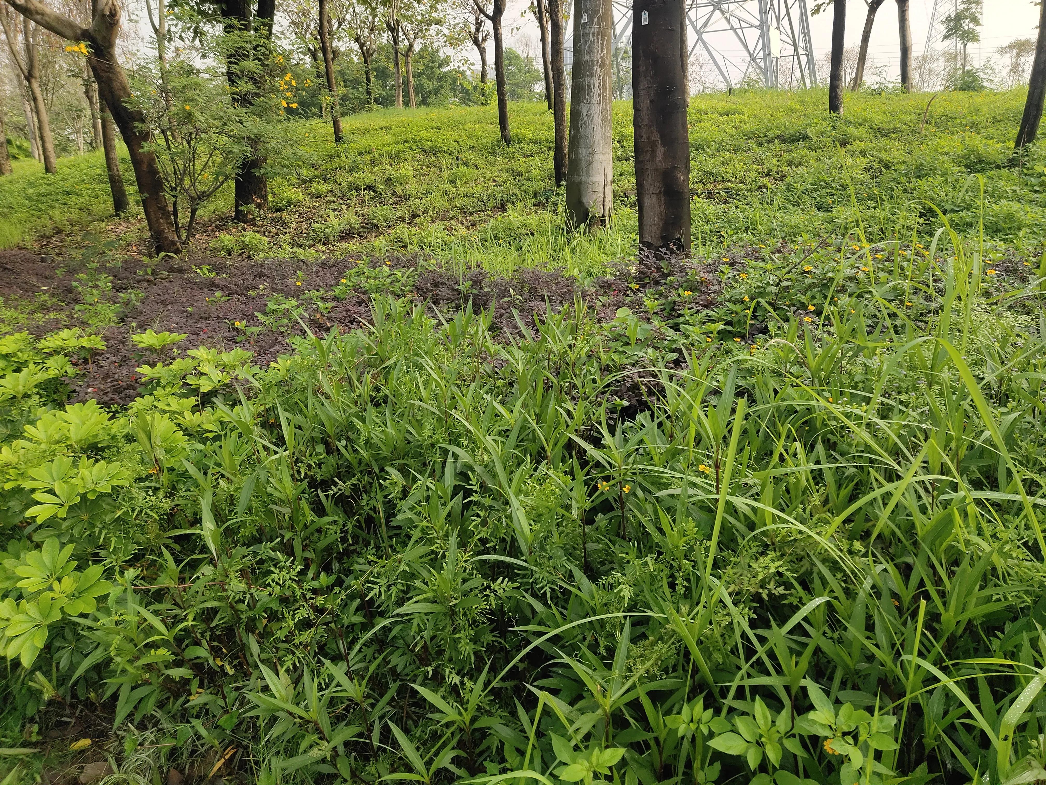 给客户发邮件发错了怎么办,给客户配错型号被客户发现了咋办