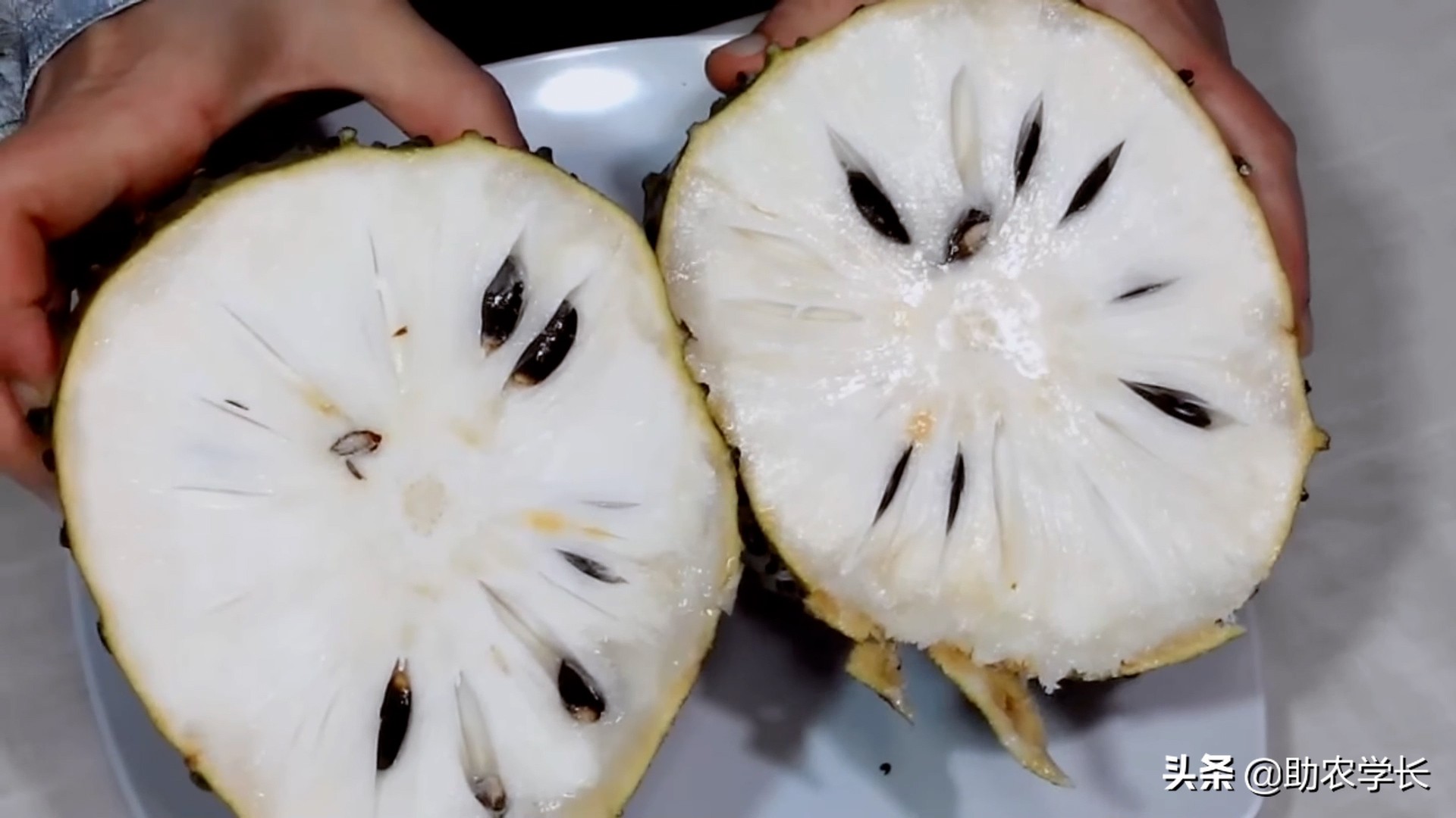 番荔枝和毛榴莲的区别,刺果番荔枝别名为红毛榴莲