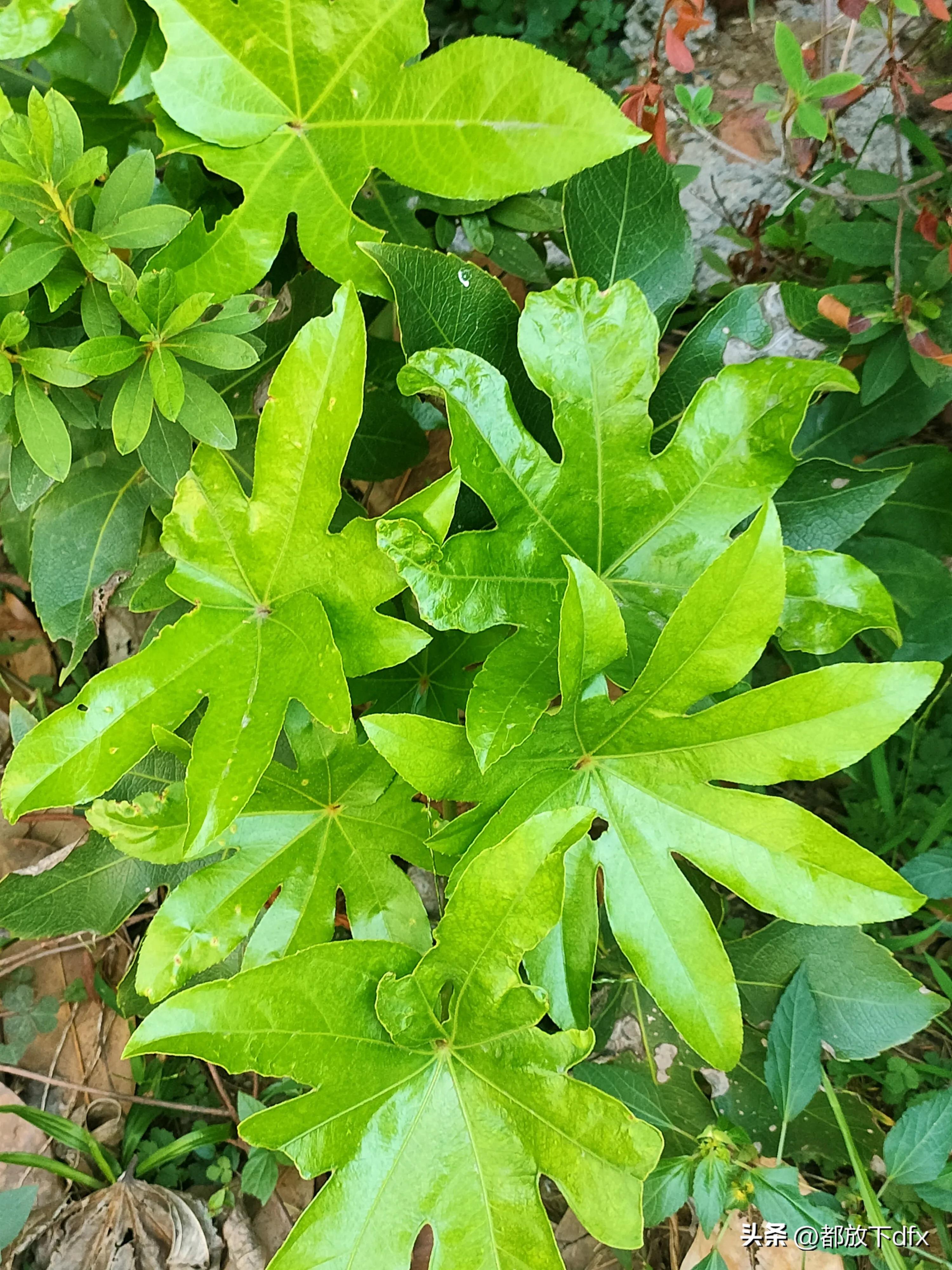 分道扬镳,各走各的路,也挺好的