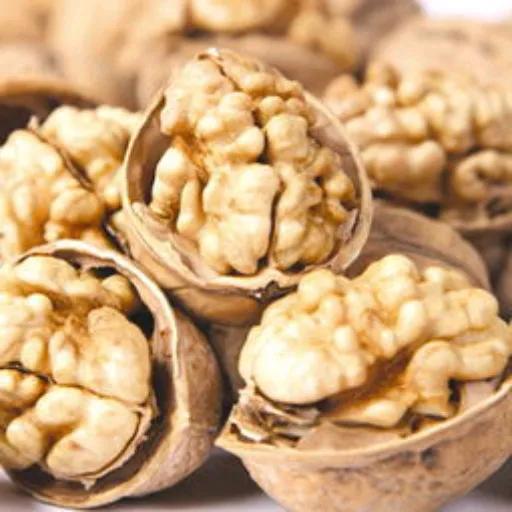 萍聚完整版本,萍聚完整版全集