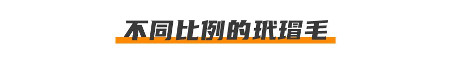基因克隆最新突破,基因最新突破