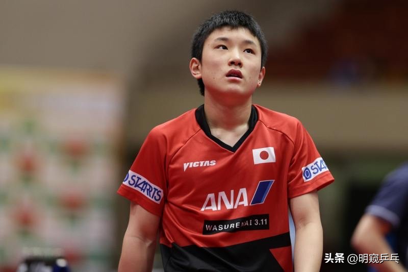 樊振东最新教练,樊振东目前状况