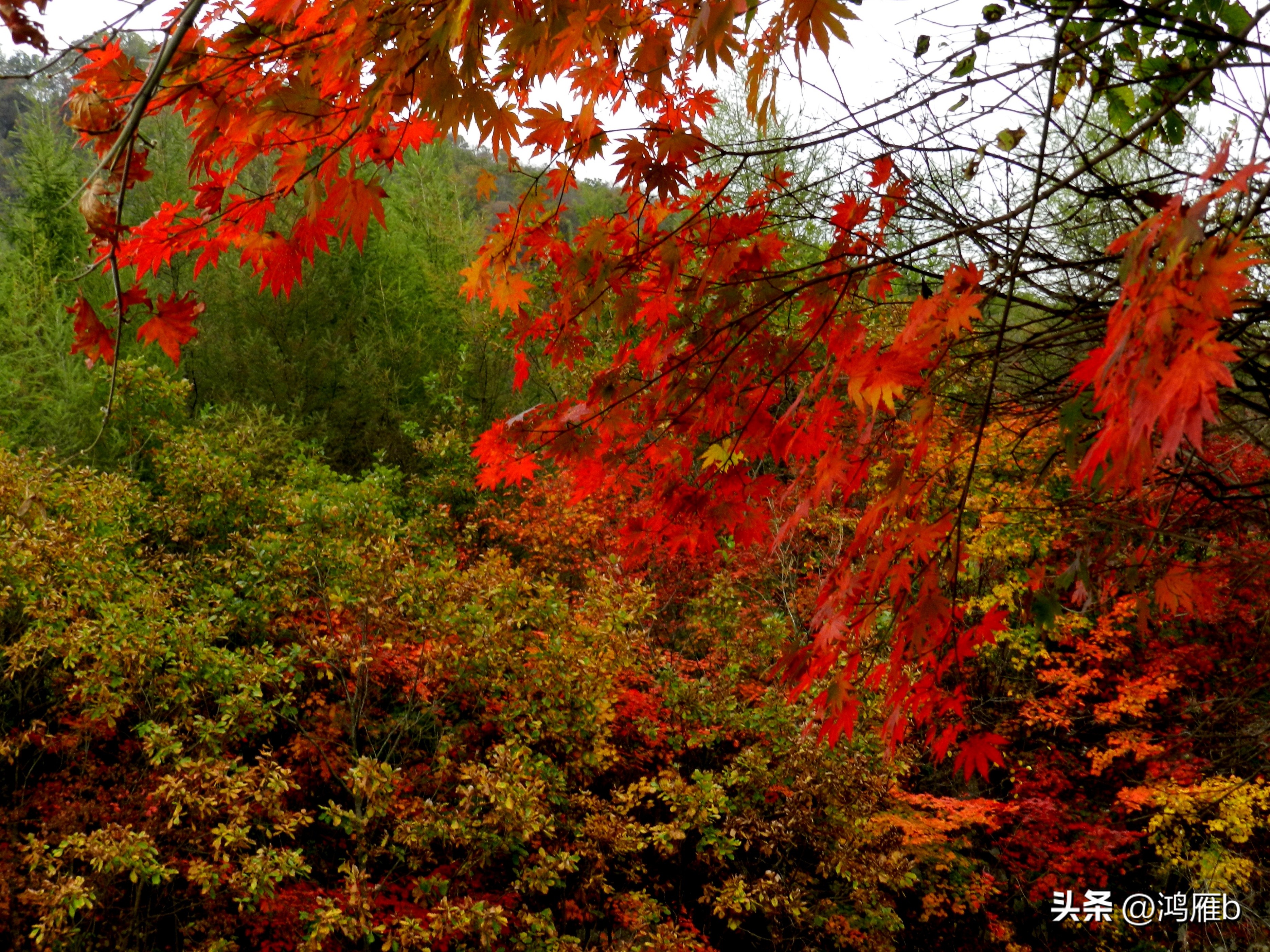本溪温泉汤沟门票价格,本溪花溪沐枫雪温泉小镇