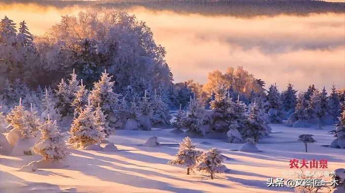 如何告别2021年最后一天文案,总结2021年文案短句