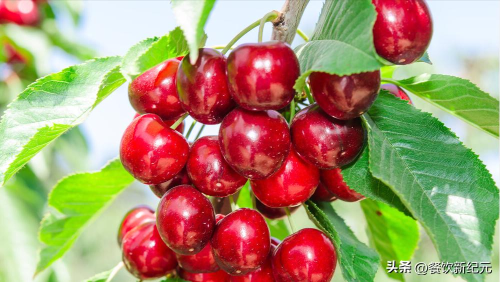 春天中老年人吃什么水果最好,55岁以上的中老年少吃这4种水果