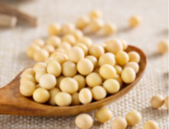 永和豆浆健康快捷的时尚饮品,永和豆浆重新定义健康早餐