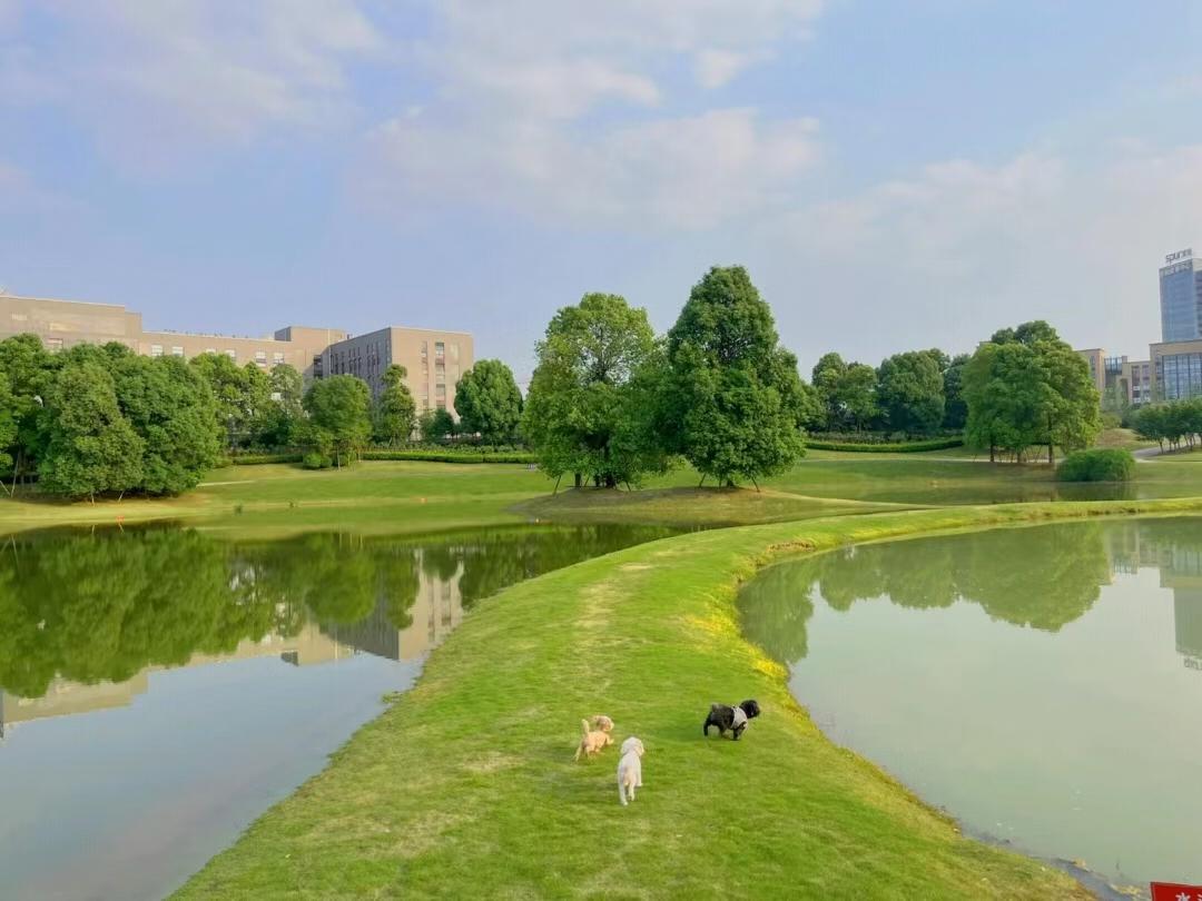 小绿洲户外,成都小溪流野餐地