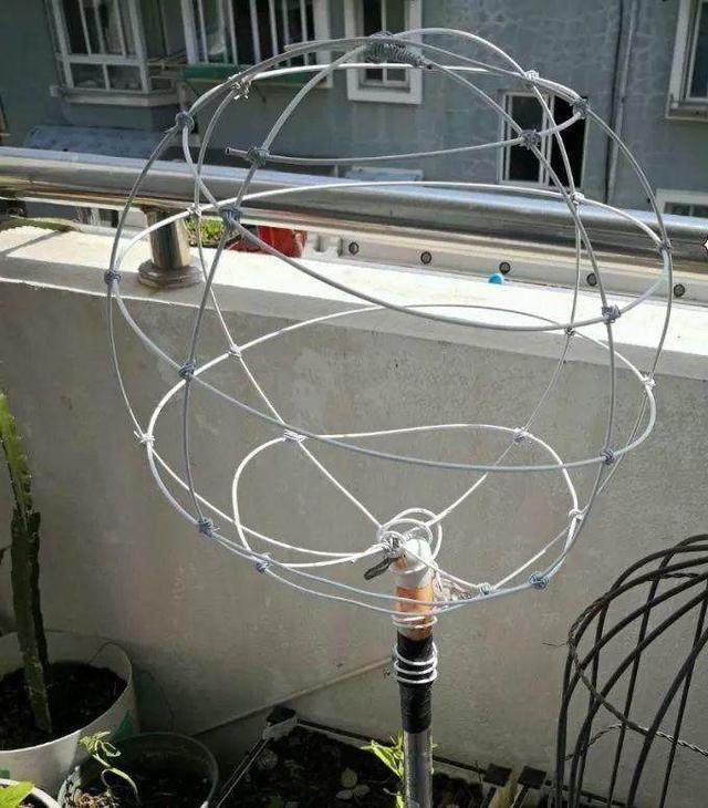 女朋友教你怎么把一根“草”，养成一株“雪女权杖”，美得窒息