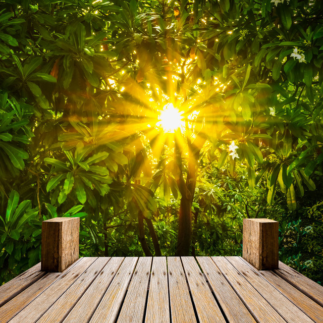 炒股技术怎么学,炒股看什么书学技术股