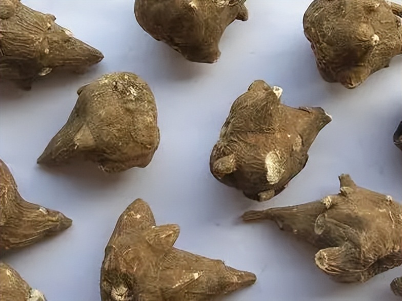 吃中药怎样避免肝肾损伤保护肝肾,中药引起的肝肾损伤会有什么症状