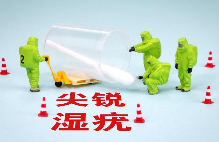 痔疮和肛周湿疣,肛周湿疣和痔疮先治哪个