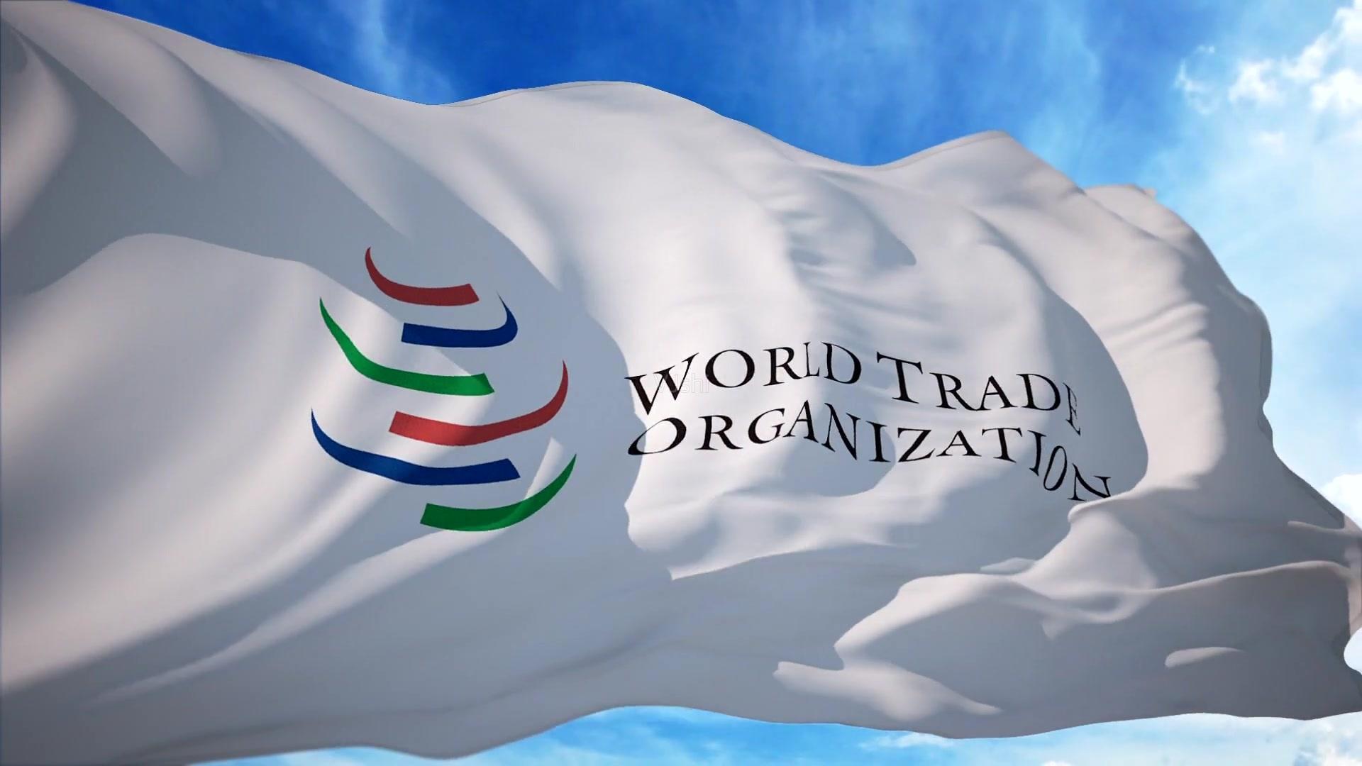 国货真的没有外国的货好用吗,国货在国外有多火