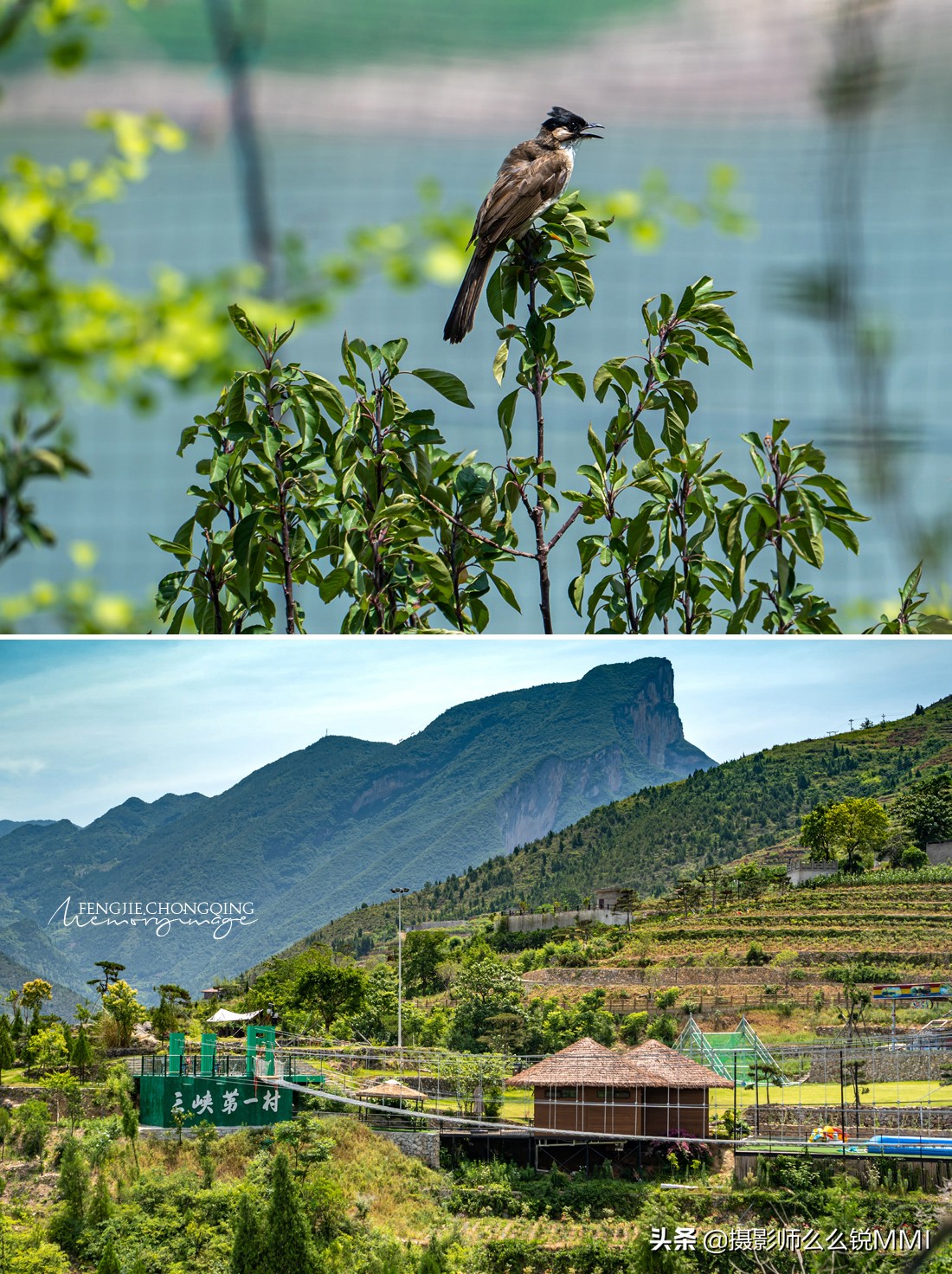 奉节天坑地缝旅游攻略,重庆奉节旅游攻略自驾游