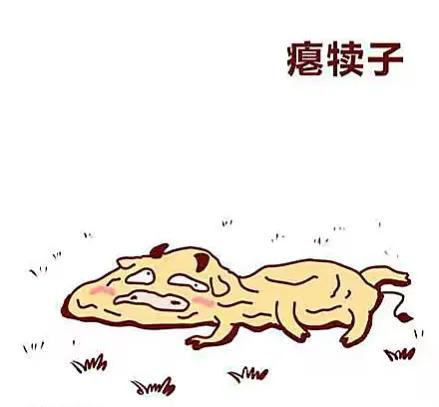 东北方言大全扯犊子,东北的八大犊子