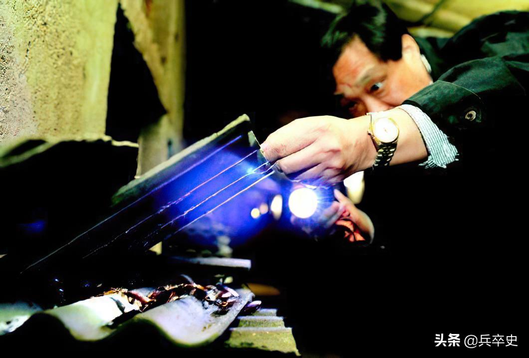 养蟑螂年入百亿,养8亿蟑螂年入百亿