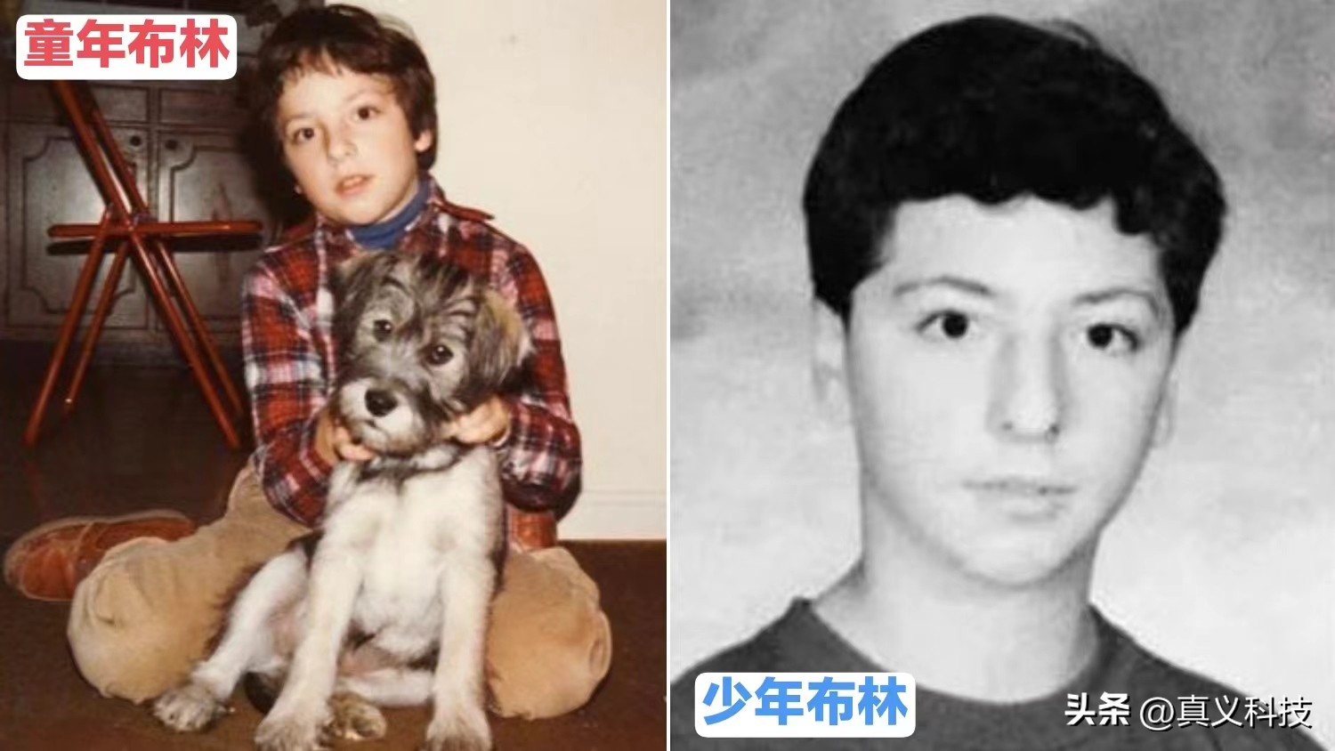 google发展历程简介,谷歌发展历史简介