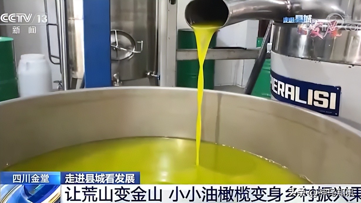 央视走进诸城看发展,央视走进县城看发展全集