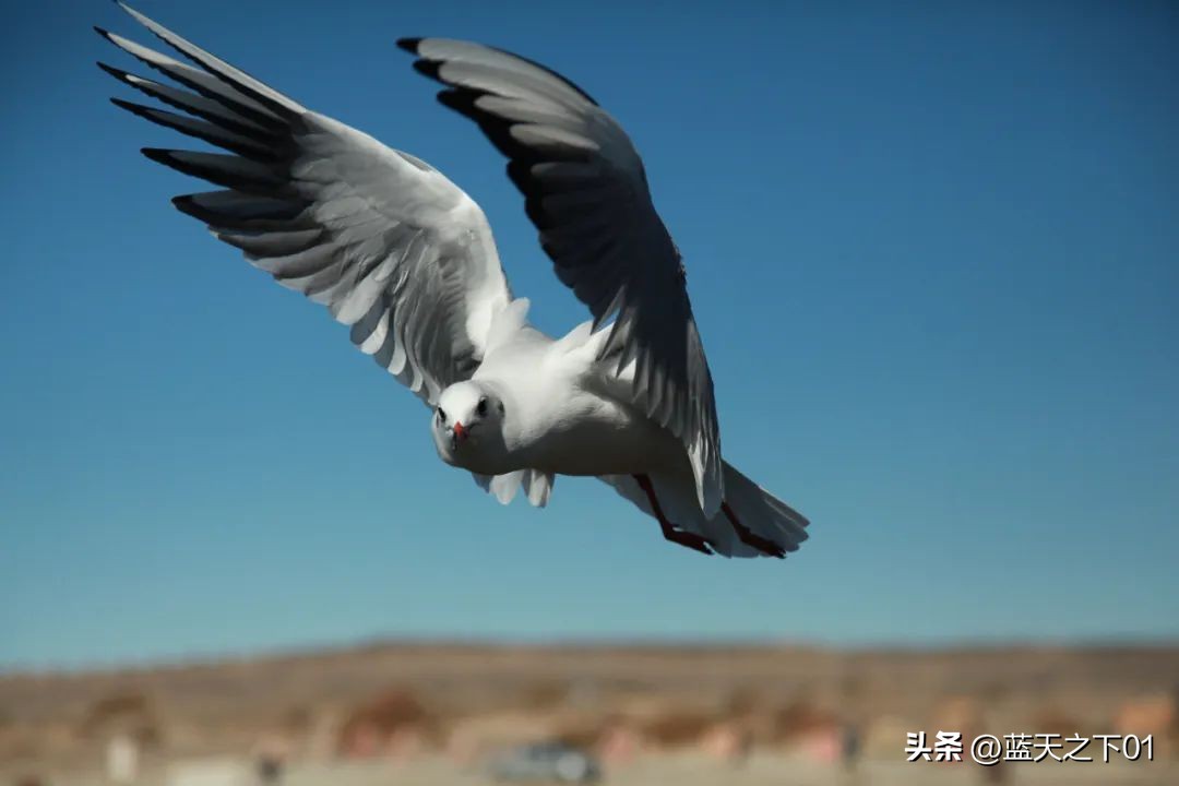 别人经常用你手机拍照怎么办,如果有人对你拍照怎么办