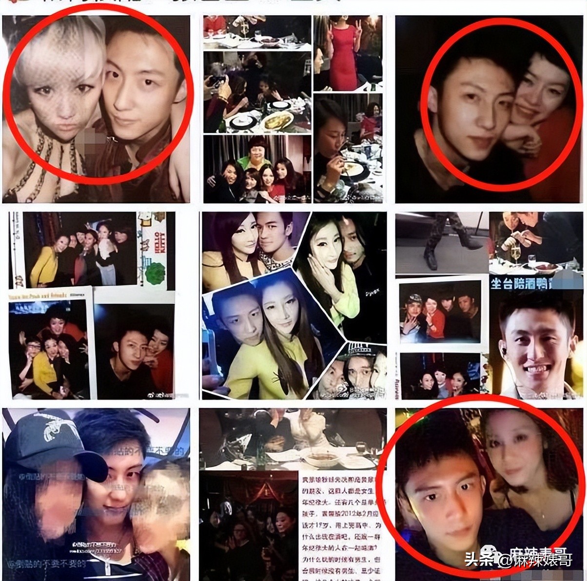 热带鱼cp真的好过吗,热带鱼cp是哪个