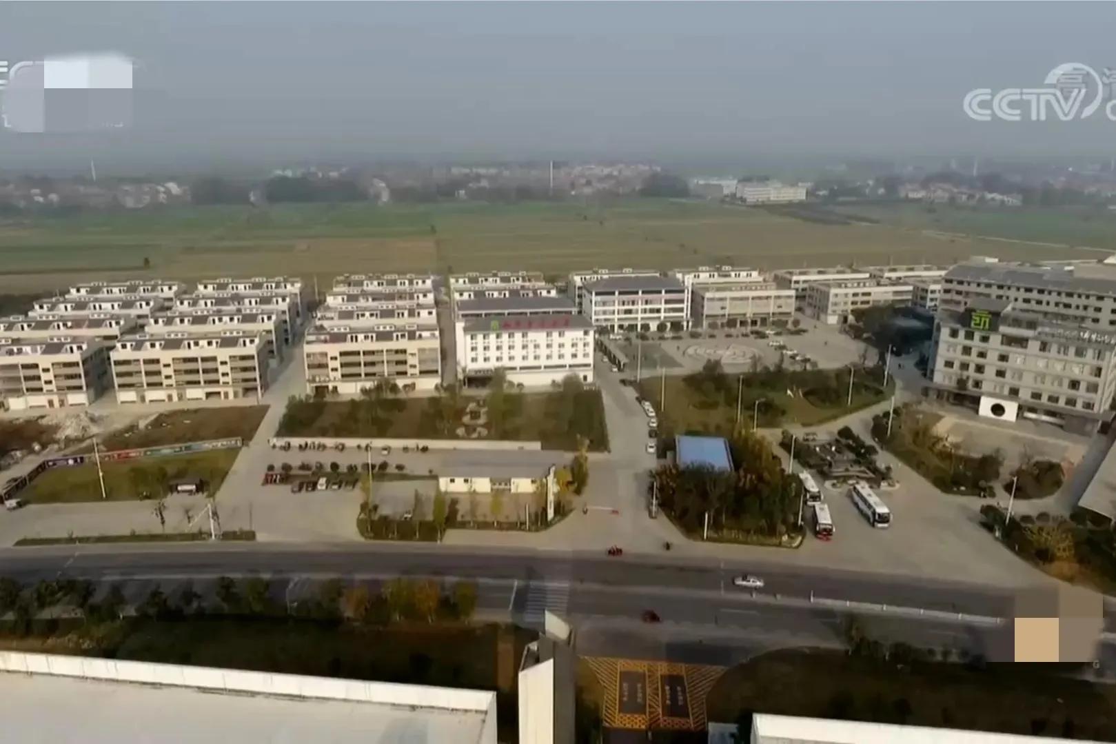 小伙将废品做成工艺品,湖北小伙一年狂赚80亿