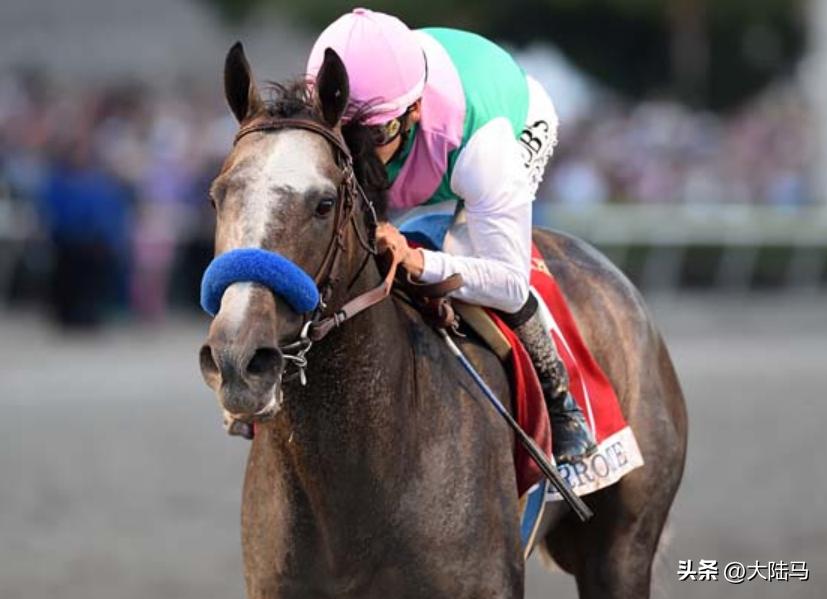 21世纪最伟大比赛,20世纪美国100匹顶级赛马排名