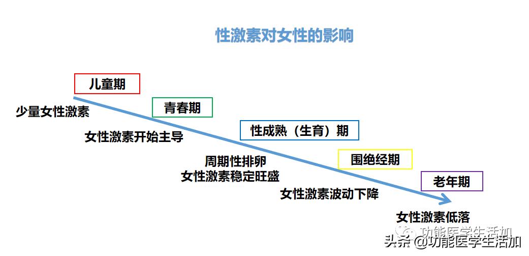 荷尔蒙对于女性有多重要,荷尔蒙对女性到底有多重要