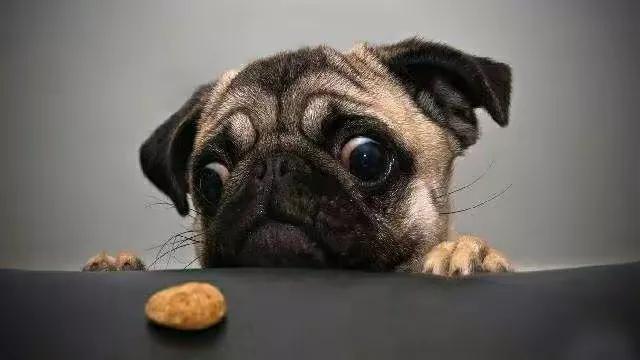 两人合伙做生意要分开怎么分,合伙做生意怎么分利润