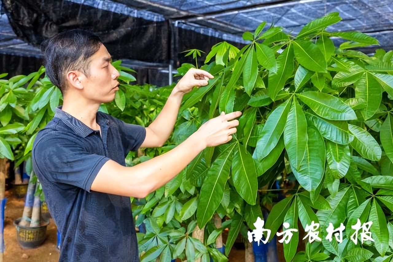 吾心归处为吾乡,吾心归处是原乡歌词