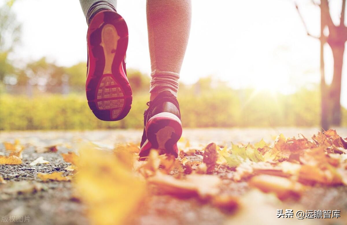 李宁引领科技发展,李宁国货正在崛起视频