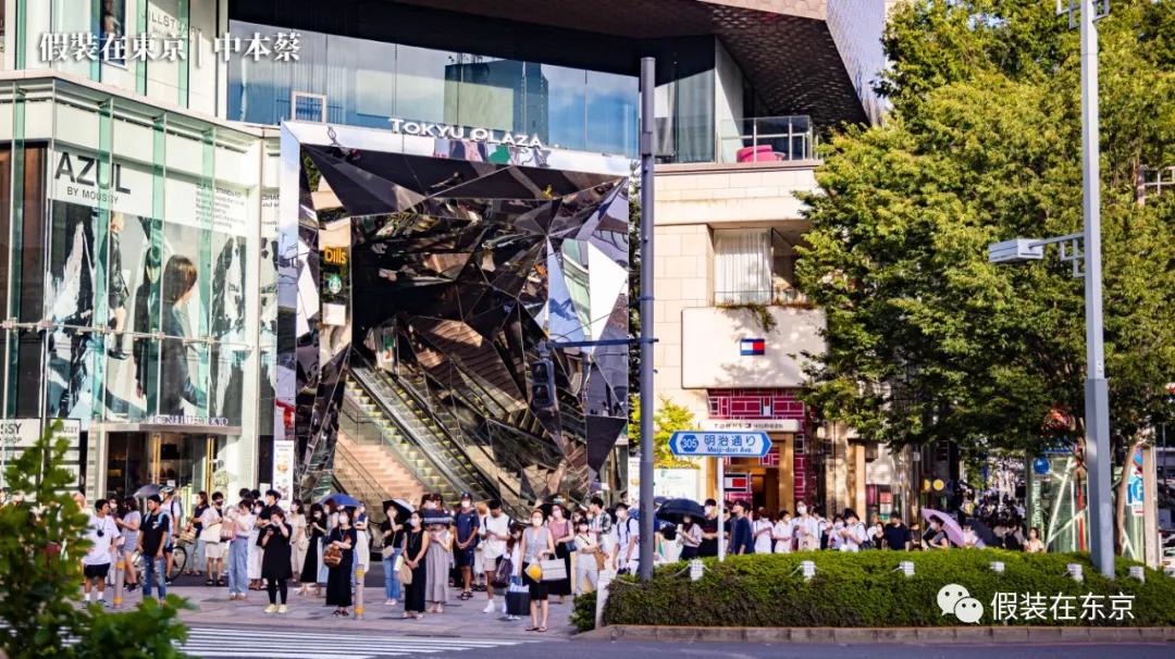 365张照片回顾,365张相片