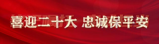 派出所开展夏季打击整治清查行动,夏季治安打击整治行动防诈骗宣传