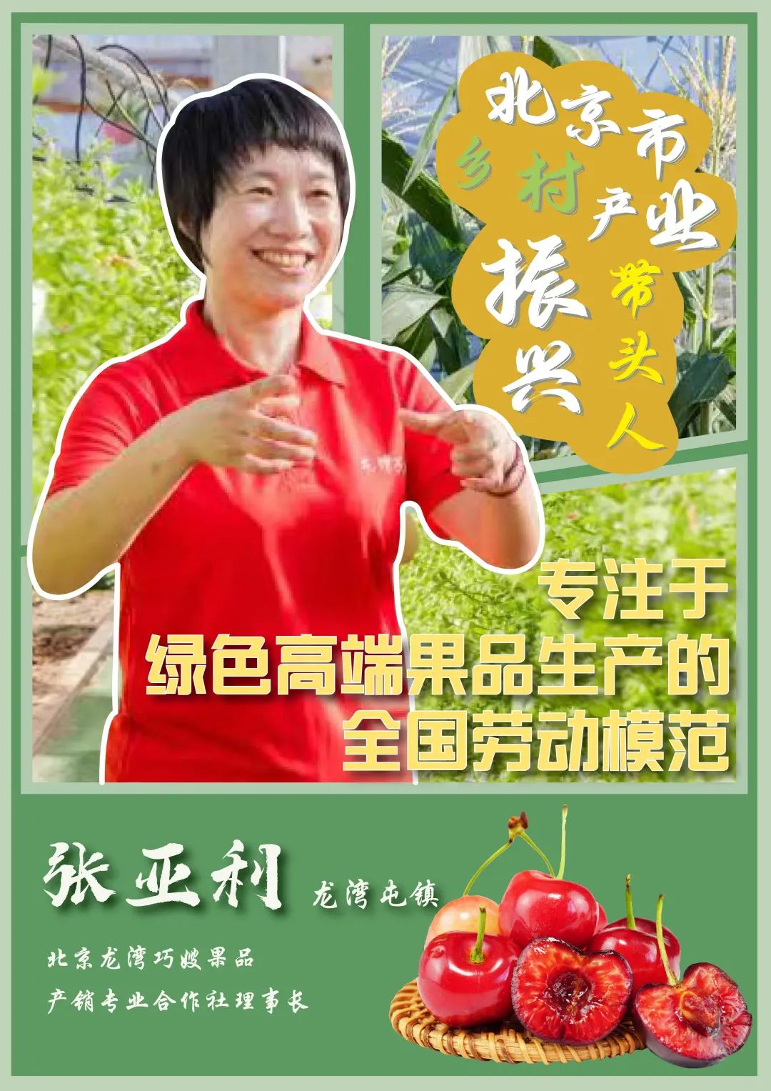 乡村产业振兴带头人头雁计划,2023年乡村振兴带头人头雁项目