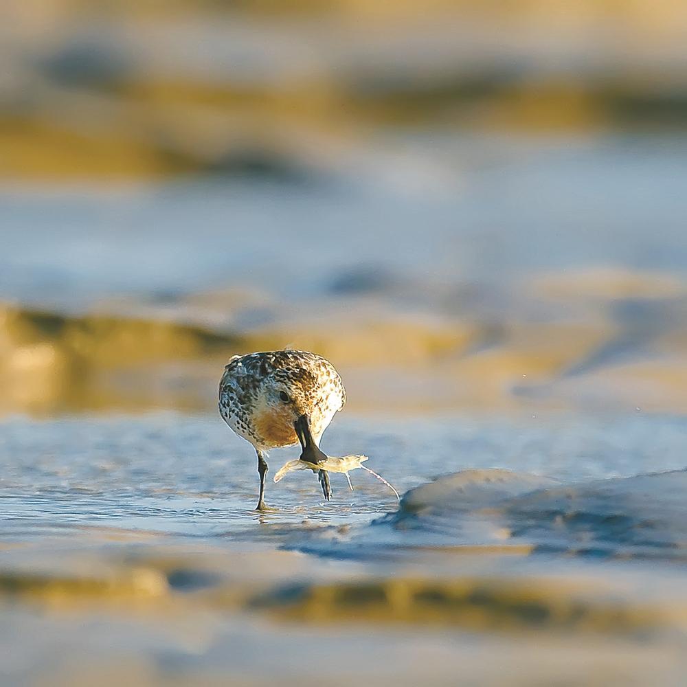 娌挎捣缁垮煄鐩愬煄,鐩愬煄娌挎捣缁垮煄