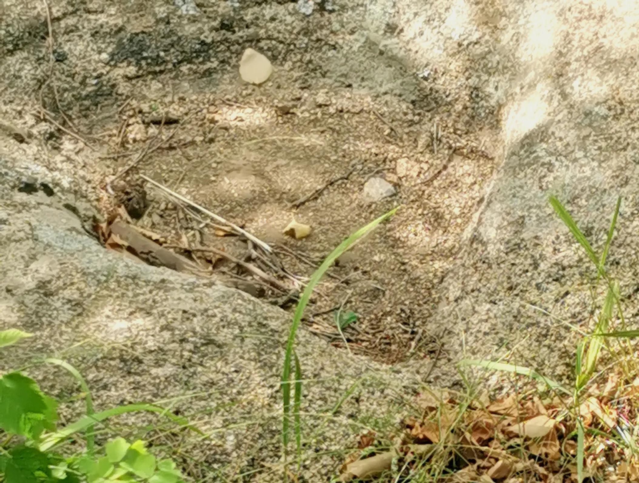 鍏嬩粈鍏嬭吘涓栫晫鍦拌川鍏洯鑵瑰湴鍐ぉ,鍏嬩粈鍏嬭吘鍦拌川鍏洯娴锋嫈楂樺害