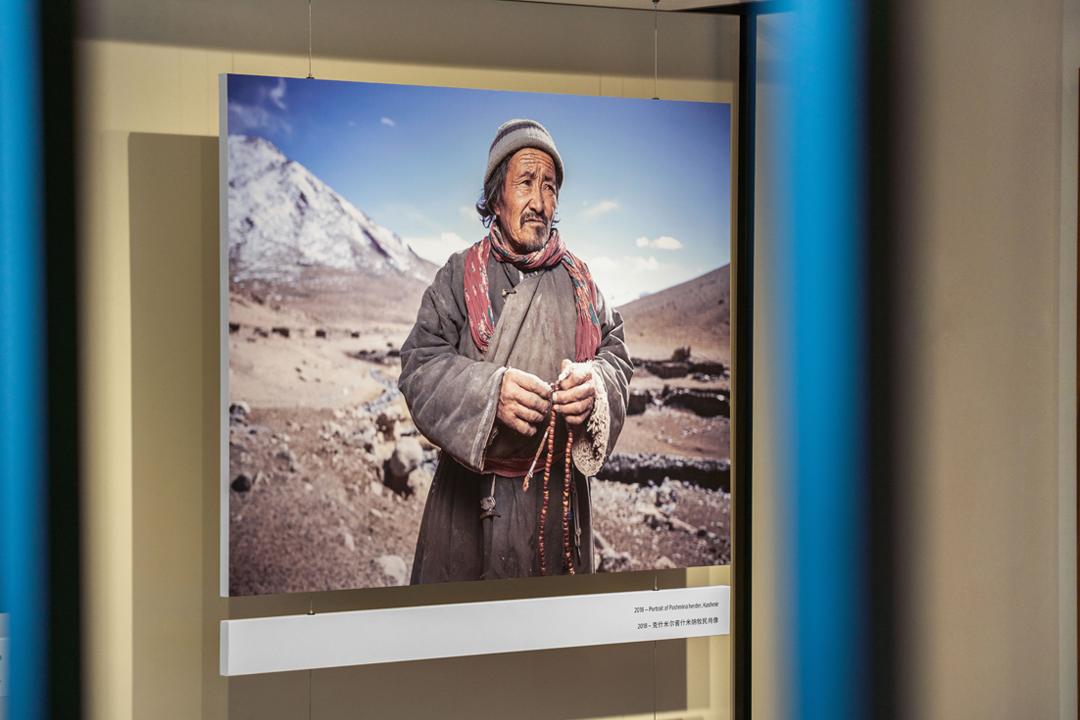 张园入春，纵横四海┃读者活动招募