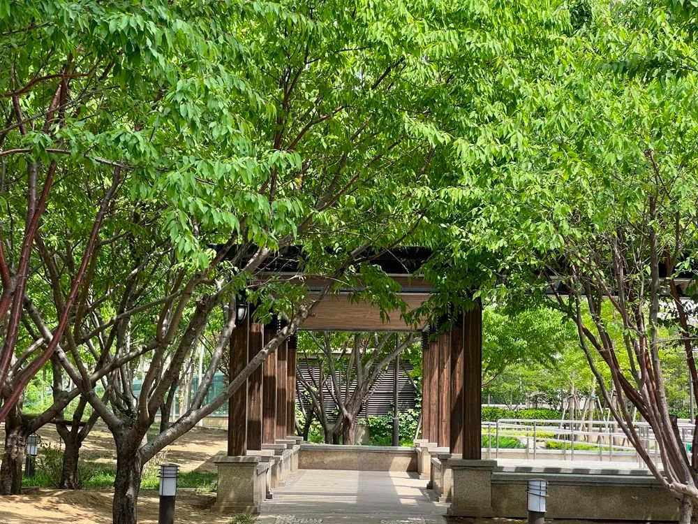 谁是影像机皇,谁才是手机机皇