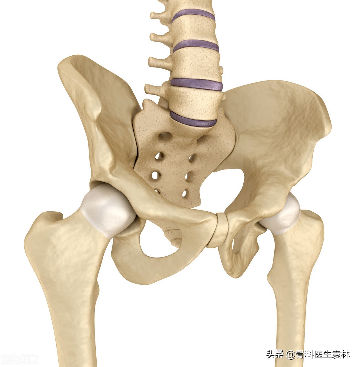 髋关节发育不良髋关节痛怎么训练,髋关节发育不良的症状