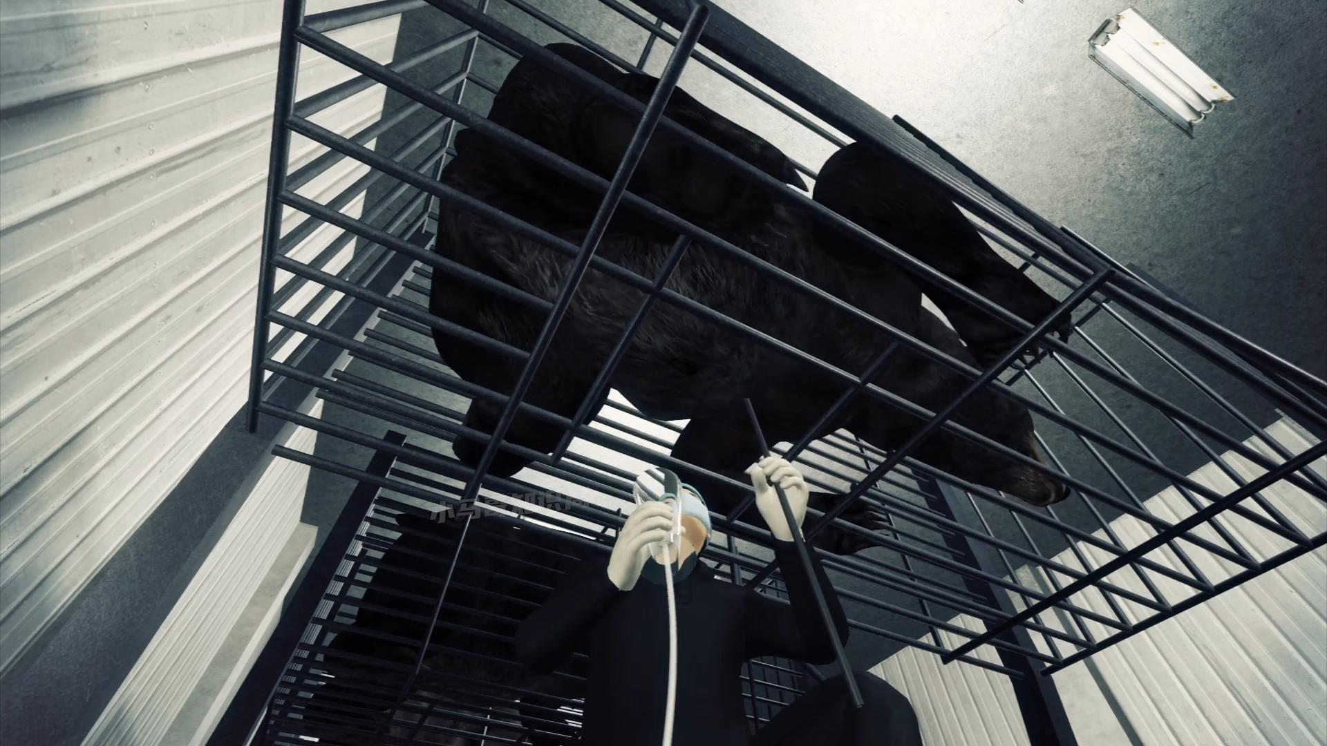 活着插管取胆,老了分解卖钱,活熊取胆那么残忍,为什么不禁止?