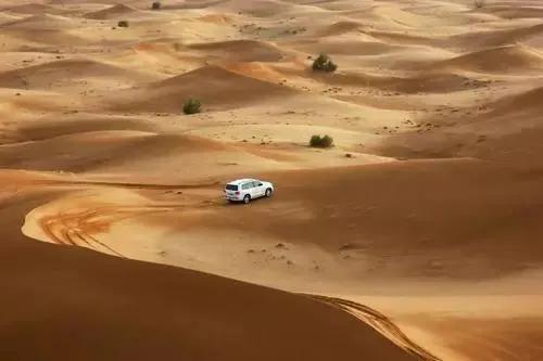 卡塔尔冷知识完整版,卡塔尔世界杯你不知道的冷知识